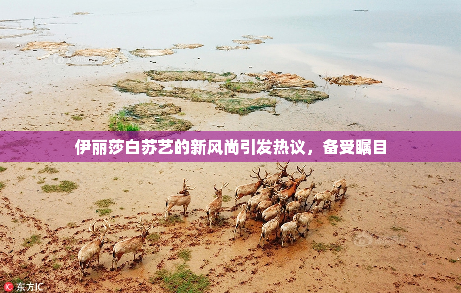 伊丽莎白苏艺的新风尚引发热议，备受瞩目