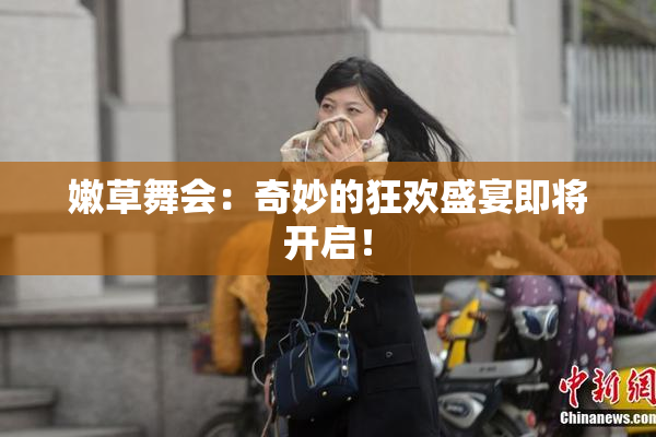 嫩草舞会：奇妙的狂欢盛宴即将开启！