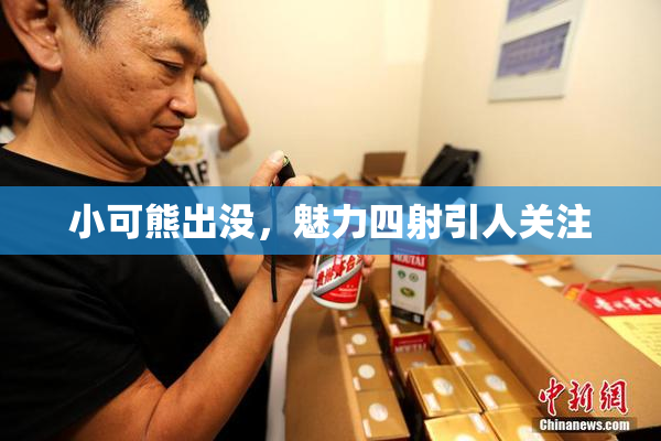小可熊出没，魅力四射引人关注