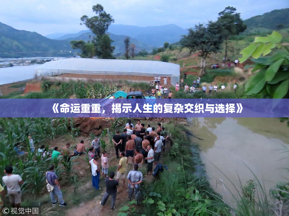 《命运重重，揭示人生的复杂交织与选择》
