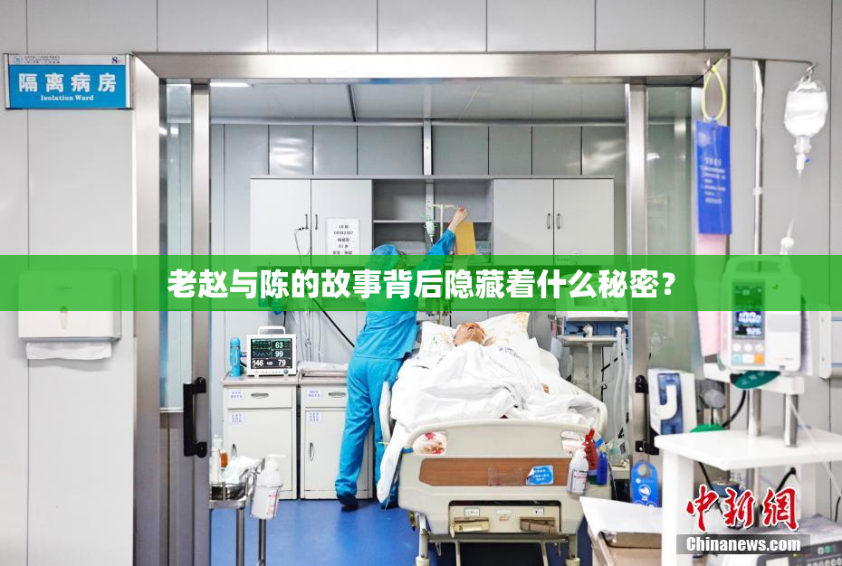 老赵与陈的故事背后隐藏着什么秘密？