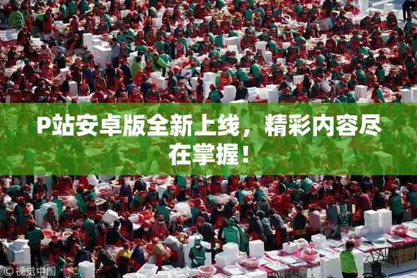 P站安卓版全新上线，精彩内容尽在掌握！
