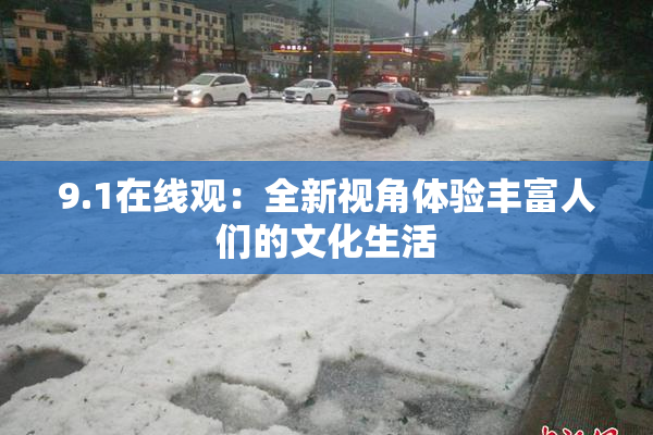 9.1在线观：全新视角体验丰富人们的文化生活