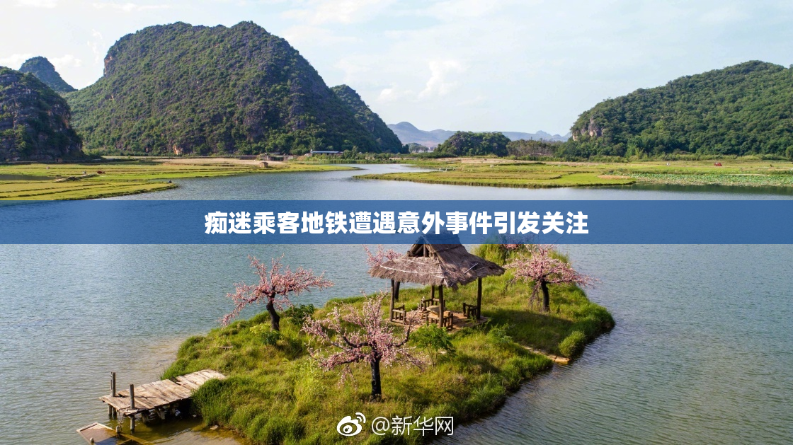 痴迷乘客地铁遭遇意外事件引发关注