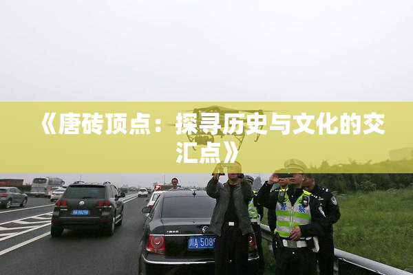 《唐砖顶点：探寻历史与文化的交汇点》