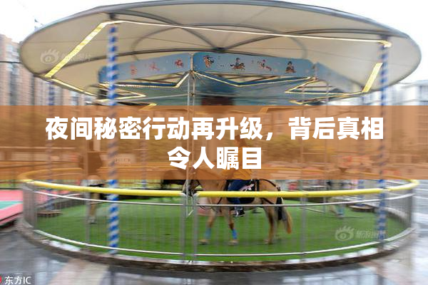 夜间秘密行动再升级，背后真相令人瞩目