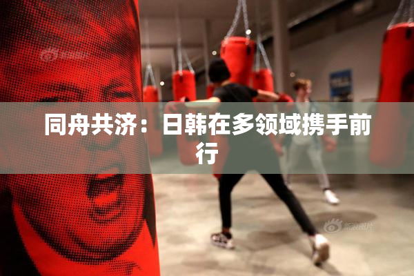 同舟共济：日韩在多领域携手前行
