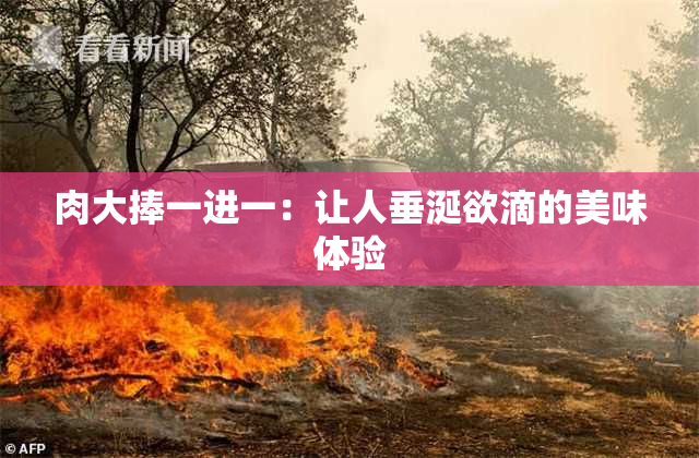 肉大捧一进一：让人垂涎欲滴的美味体验