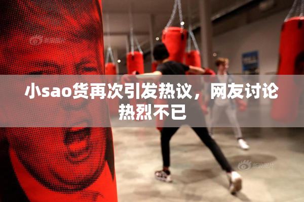小sao货再次引发热议，网友讨论热烈不已