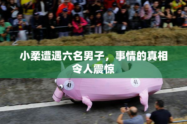 小柔遭遇六名男子，事情的真相令人震惊