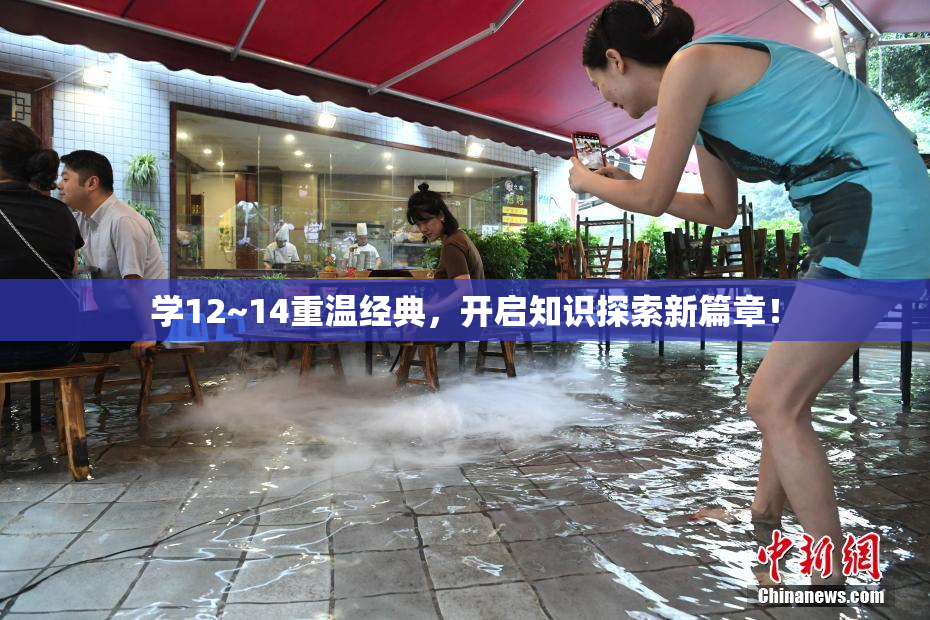 学12~14重温经典，开启知识探索新篇章！