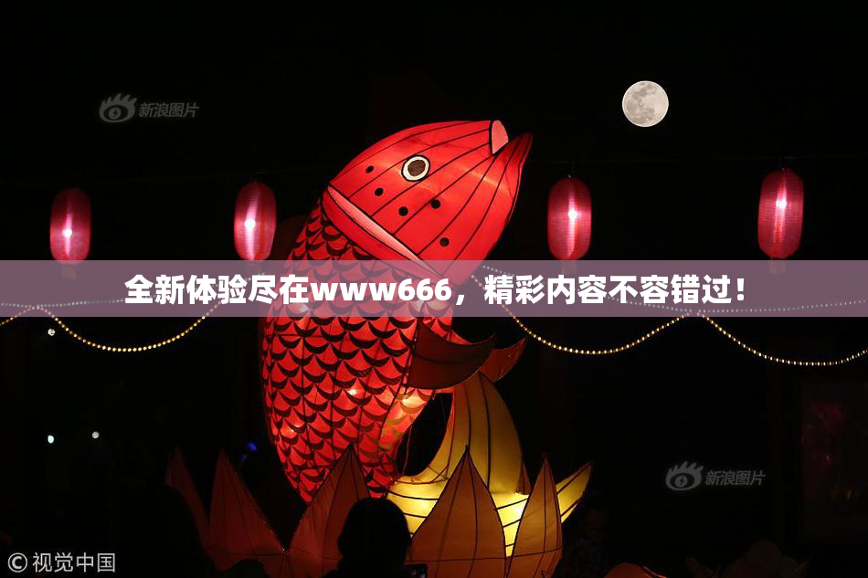 全新体验尽在www666，精彩内容不容错过！