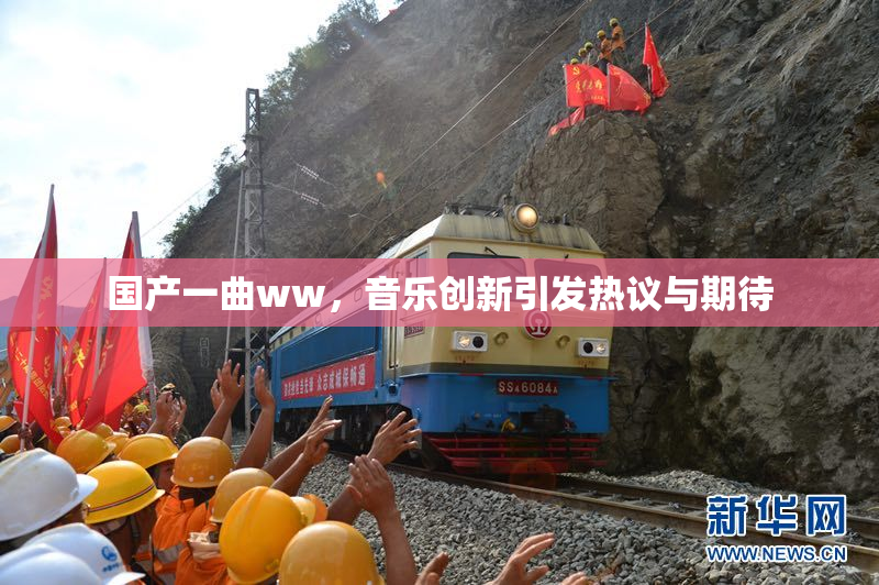 国产一曲ww，音乐创新引发热议与期待