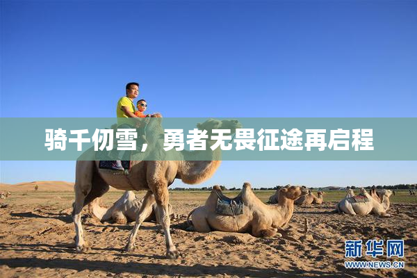 骑千仞雪，勇者无畏征途再启程