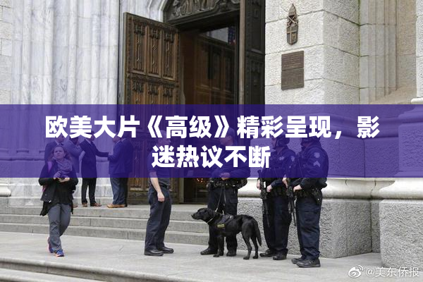 欧美大片《高级》精彩呈现，影迷热议不断