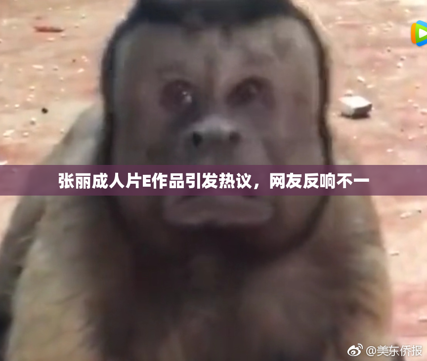 张丽成人片E作品引发热议，网友反响不一