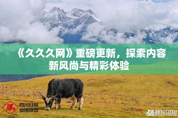 《久久久网》重磅更新，探索内容新风尚与精彩体验