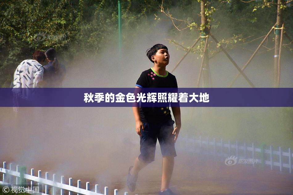 秋季的金色光辉照耀着大地