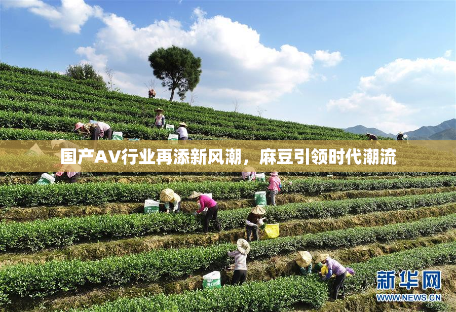 国产AV行业再添新风潮，麻豆引领时代潮流