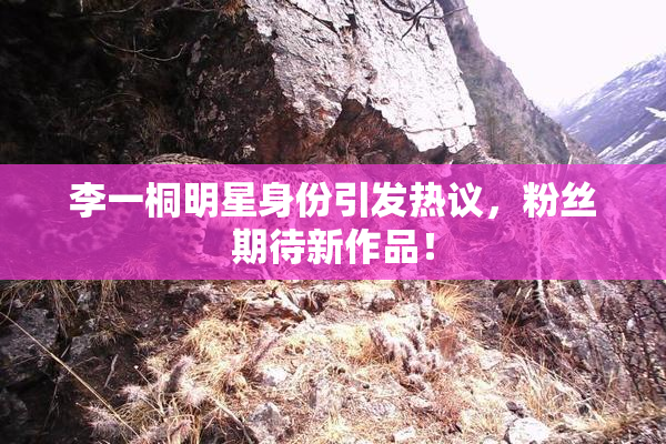 李一桐明星身份引发热议，粉丝期待新作品！