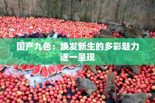 国产九色：焕发新生的多彩魅力逐一呈现