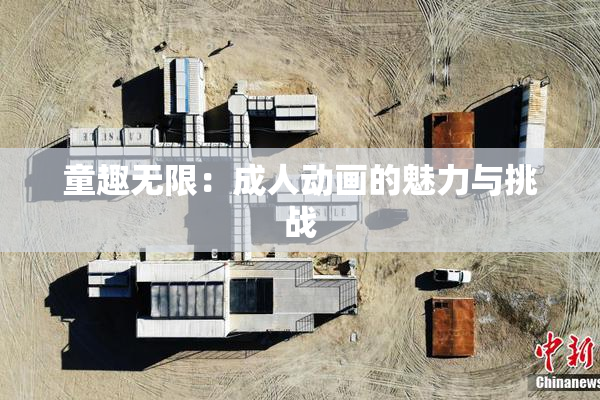 童趣无限：成人动画的魅力与挑战
