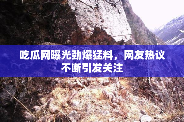 吃瓜网曝光劲爆猛料，网友热议不断引发关注