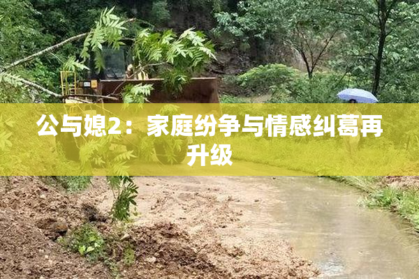 公与媳2：家庭纷争与情感纠葛再升级