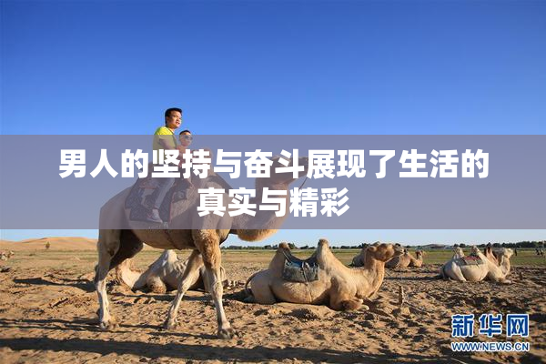 男人的坚持与奋斗展现了生活的真实与精彩