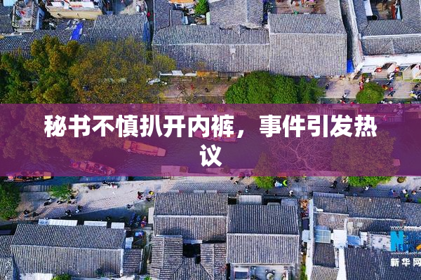 秘书不慎扒开内裤，事件引发热议
