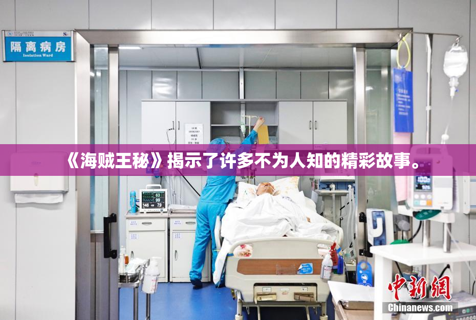 《海贼王秘》揭示了许多不为人知的精彩故事。