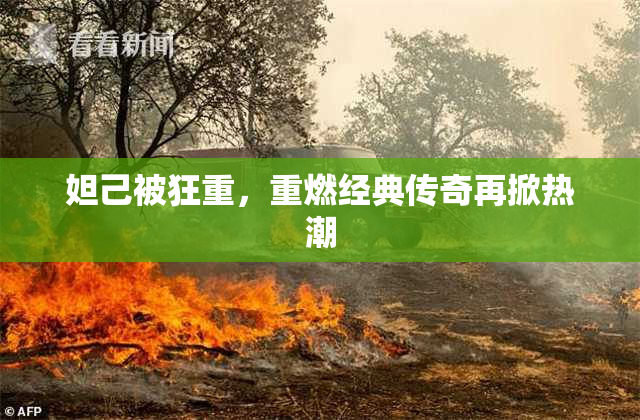 妲己被狂重，重燃经典传奇再掀热潮