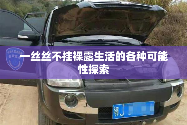 一丝丝不挂裸露生活的各种可能性探索