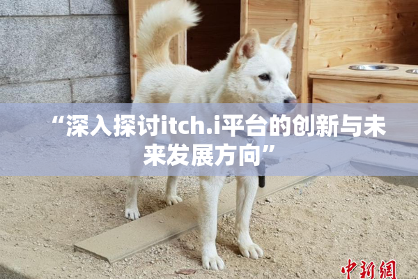 “深入探讨itch.i平台的创新与未来发展方向”