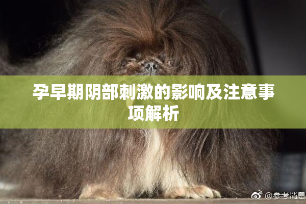 孕早期阴部刺激的影响及注意事项解析