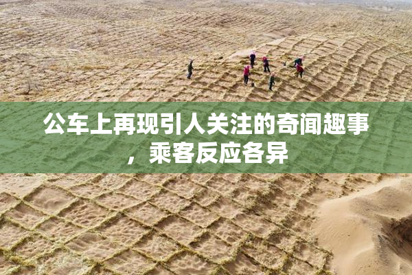 公车上再现引人关注的奇闻趣事，乘客反应各异