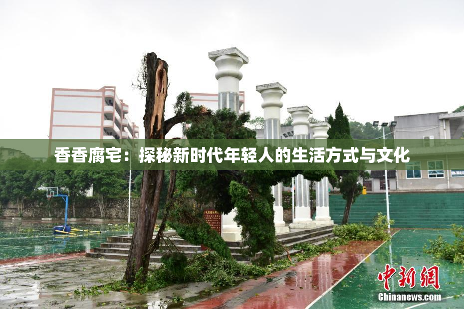 香香腐宅：探秘新时代年轻人的生活方式与文化