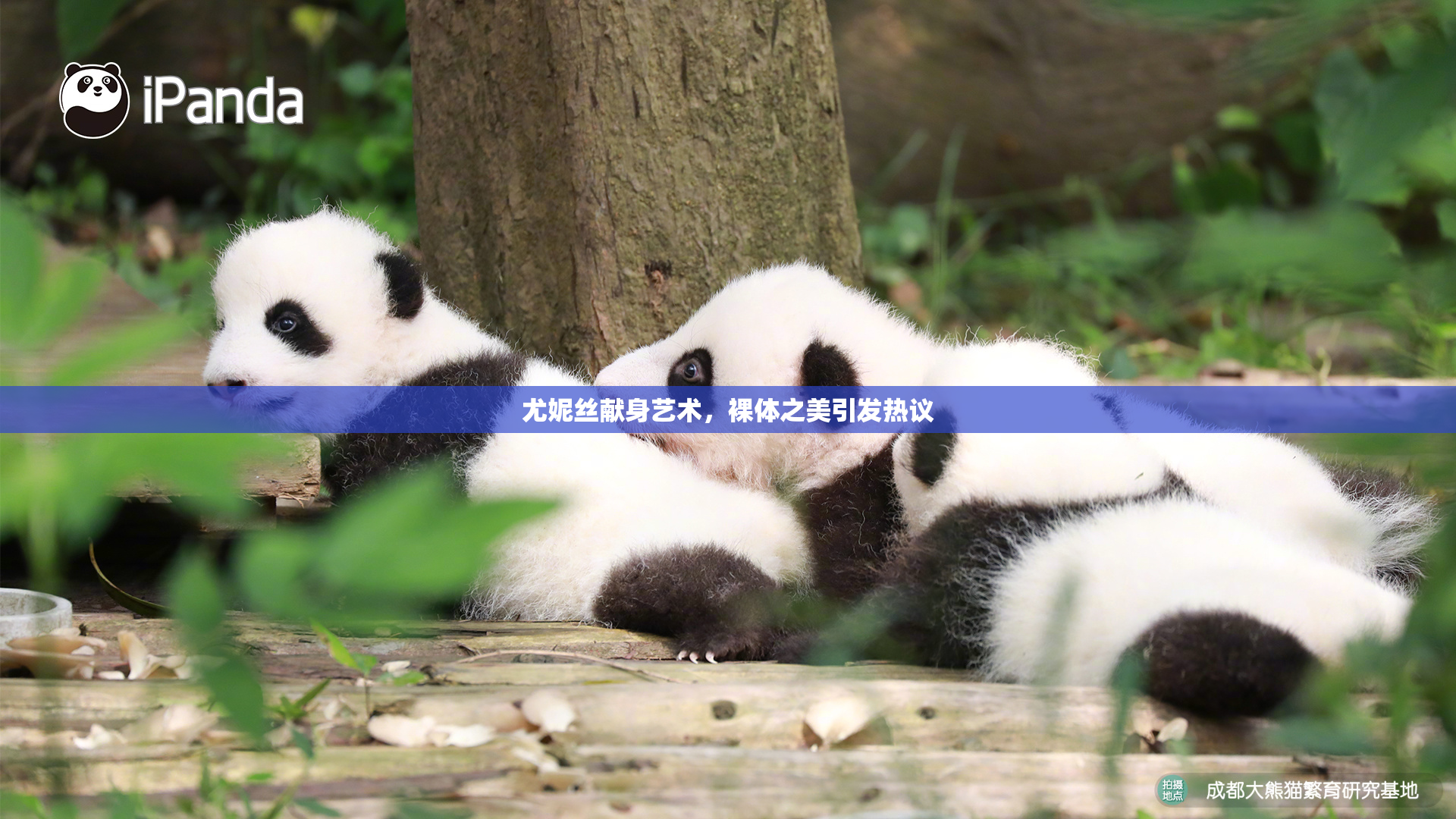 尤妮丝献身艺术，裸体之美引发热议