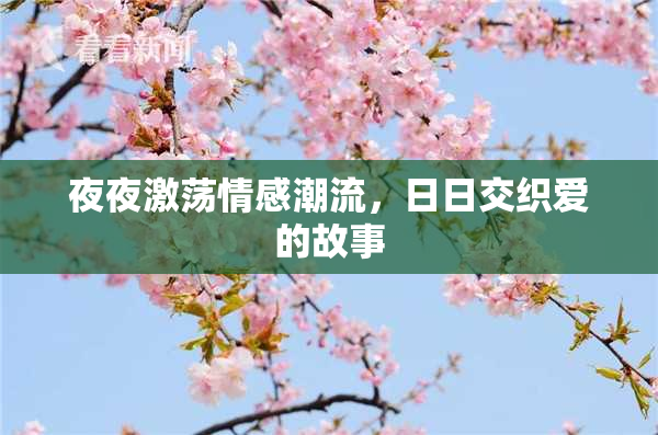 夜夜激荡情感潮流，日日交织爱的故事