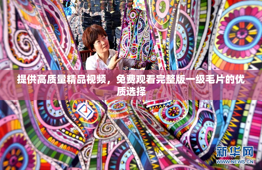 提供高质量精品视频，免费观看完整版一级毛片的优质选择