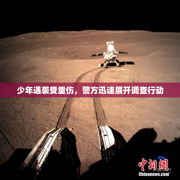 少年遇袭受重伤，警方迅速展开调查行动