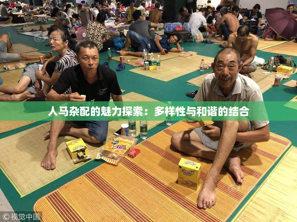人马杂配的魅力探索：多样性与和谐的结合