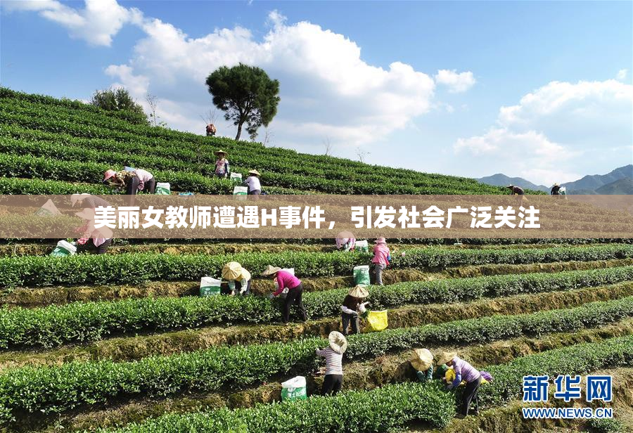 美丽女教师遭遇H事件，引发社会广泛关注