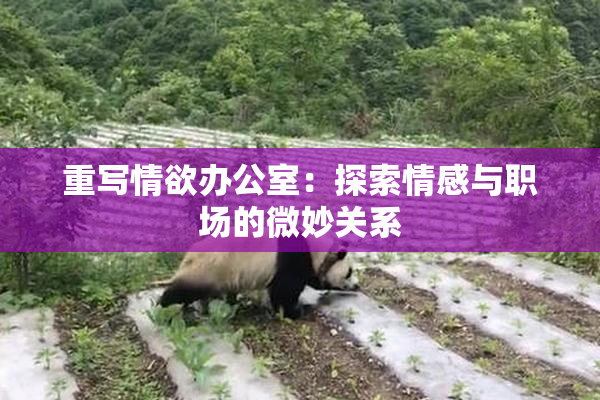 重写情欲办公室：探索情感与职场的微妙关系