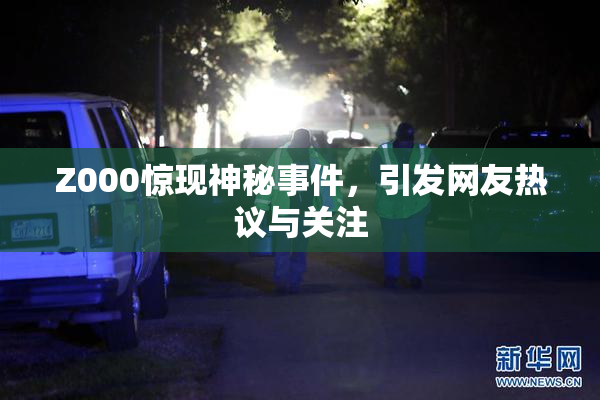 Z000惊现神秘事件，引发网友热议与关注
