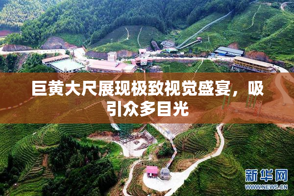 巨黄大尺展现极致视觉盛宴，吸引众多目光