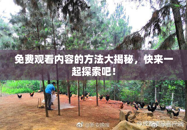 免费观看内容的方法大揭秘，快来一起探索吧！