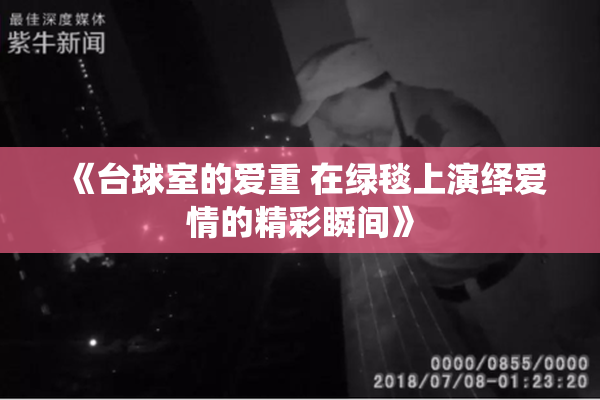《台球室的爱重 在绿毯上演绎爱情的精彩瞬间》