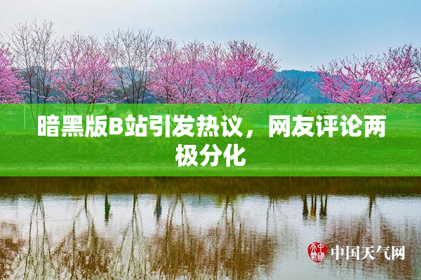 暗黑版B站引发热议，网友评论两极分化
