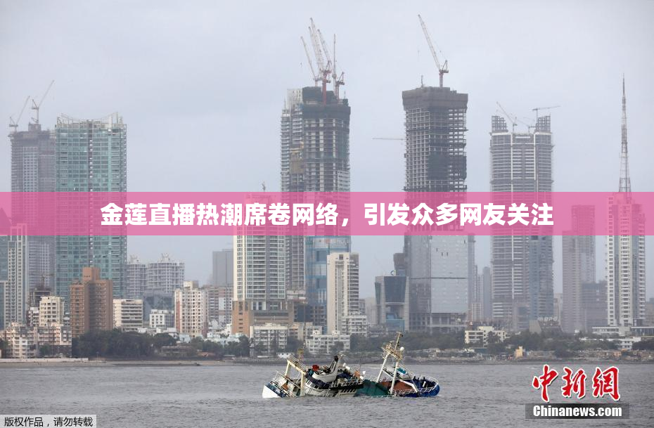 金莲直播热潮席卷网络，引发众多网友关注